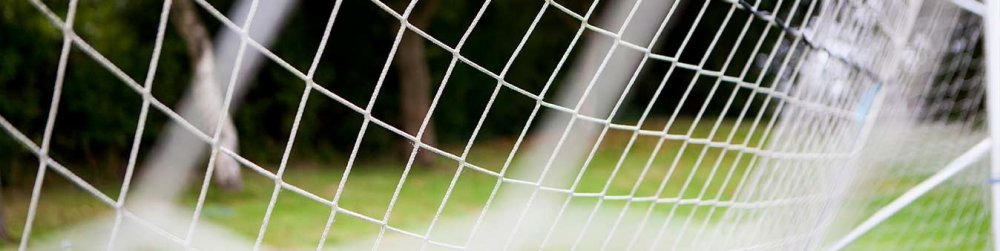 Palace motor past Brooklands