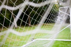 Palace motor past Brooklands