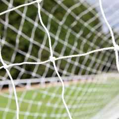 Fleet sunk by Palace