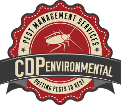 CDP ENVIRONMENTAL